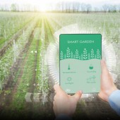 Nhật Bản đã ứng dụng công nghệ IoT trong nông nghiệp như thế nào?